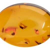Natural Amber, Oval Cabochon,      20x15mm