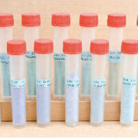 Set Of Enamel Colours, Transparent Blue/green , 12x10gm, Latham Enamels