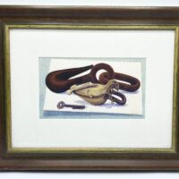 Edwina Ellis Framed And Signed Colour Print Of Wood Engraving  "parakeet Padlock" (1999) 17/50 Ed