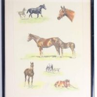 J Rivet -french Artist - Signed Lithograph Colour Print - Horses And Foals - C1947