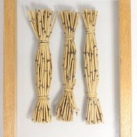 3 Wheatsheaves Modern Display Sculpture In Glass And Oak Frame