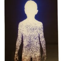 Christopher Bucklow "untitled" Chromogenic Print On Plexiglass From "the Guest " Series Ltd Ed 3/400