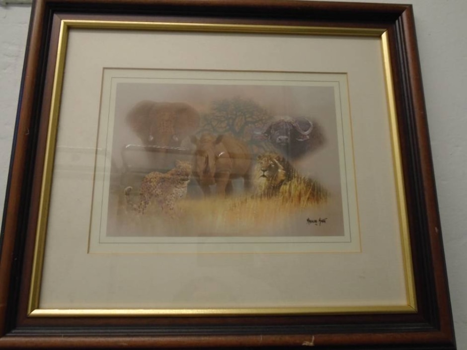 Framed Animals Of Africa Print By Malachi Smith