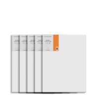 Canvas Store Cotton Canvas Deep Edge 20 x 16inch Box of 5