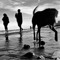 Landscape Photography Experience Day In Brighton