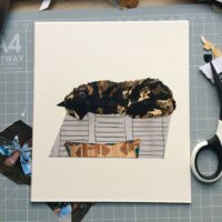 Personalised Pet Portrait Cat Collage