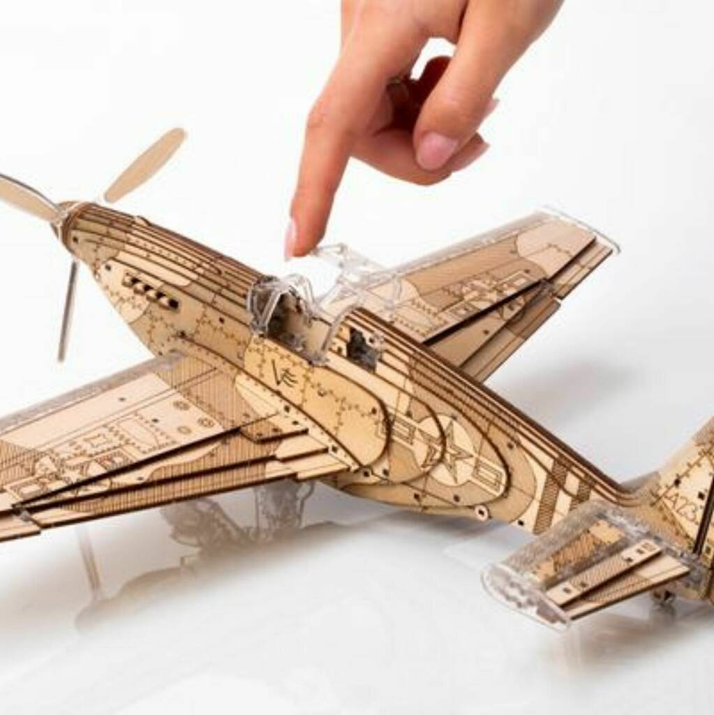 Speed Fighter. Aeroplane. By Veter Models