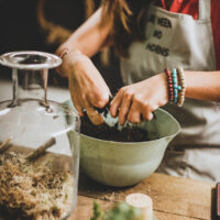 Terrarium Workshop In Brighton For Two