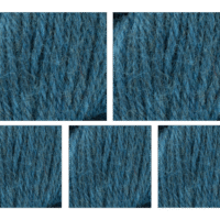 West Yorkshire Spinners Bluefaced Leicester DK Value Pack 5x100g Ravine 1041 1000g