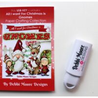All I Want For Christmas Is Gnomes USB Key