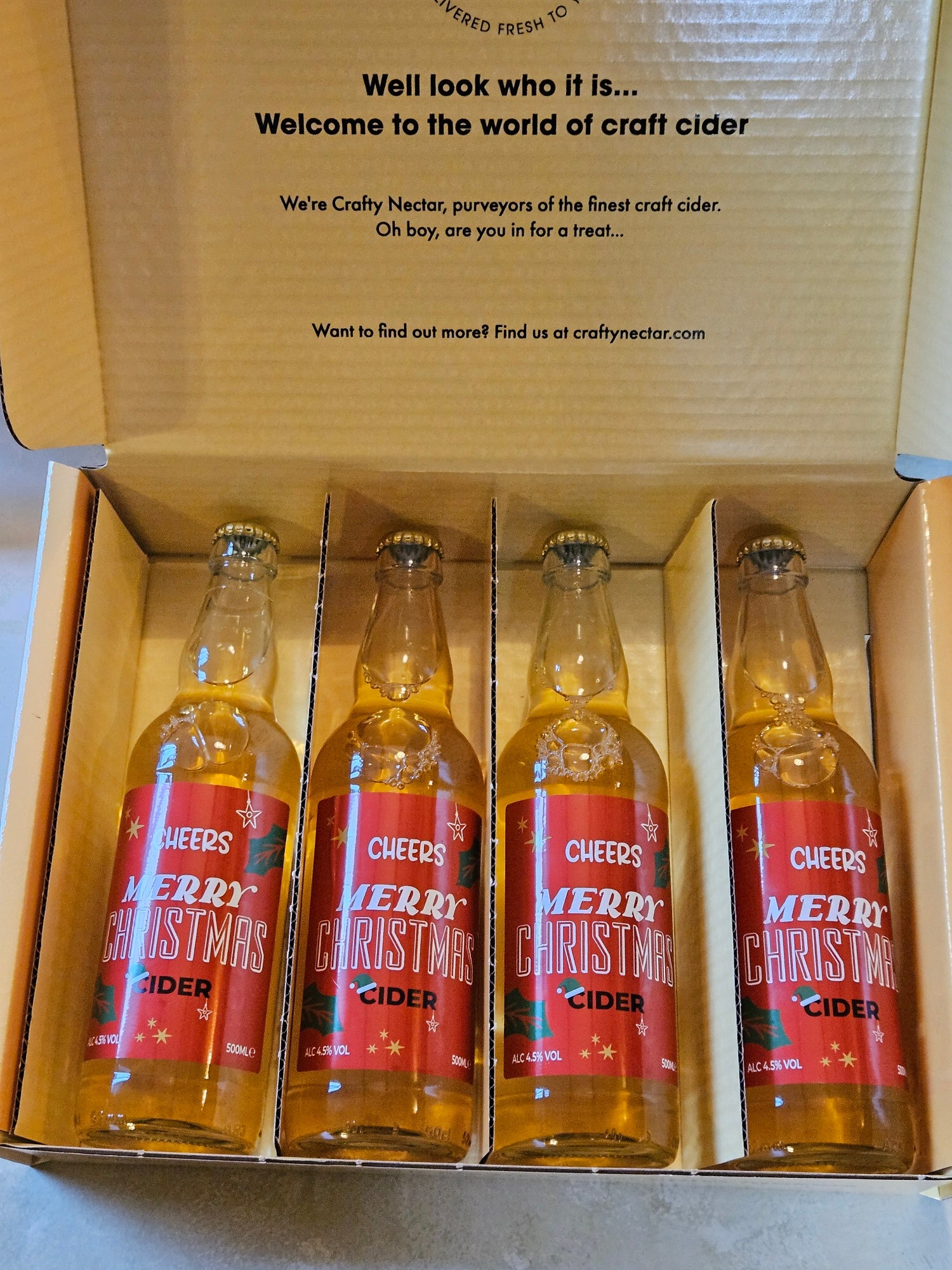 Merry Christmas Gift Box - - Cider Gifts - Crafty Nectar Cider Co