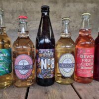Bargain Bin End Fruit Cider case - 24 bottles - Cider Gifts - Crafty Nectar Cider Co