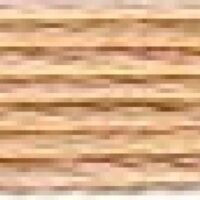 Anchor Stranded Cotton Embroidery Thread (Value Pack) 880