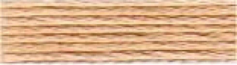 Anchor Stranded Cotton Embroidery Thread (Value Pack) 880
