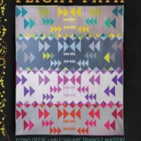 Alison Glass Quilting Pattern Flight Path