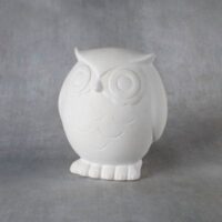 XL Hoot (owl) money Box 4 pieces