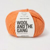 Wool and the Gang Crazy Sexy Wool Super Chunky Yarn Paradise Peach
