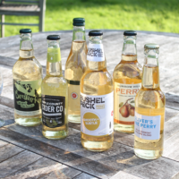 Craft Perry Discovery case - 12 bottles - Cider Gifts - Crafty Nectar Cider Co