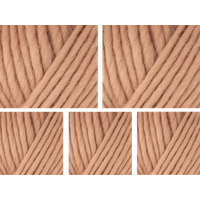 West Yorkshire Spinners Retreat Super Chunky Roving Yarn Value Pack 5x100g Fulfil 1121 500g