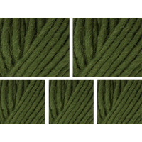 West Yorkshire Spinners Retreat Super Chunky Roving Yarn Value Pack 5x100g Commit 1117 500g