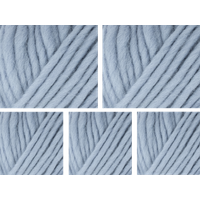 West Yorkshire Spinners Retreat Super Chunky Roving Yarn Value Pack 5x100g Focus 1122 500g