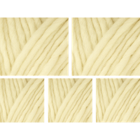 West Yorkshire Spinners Retreat Super Chunky Roving Yarn Value Pack 5x100g Wonder 1124 1000g