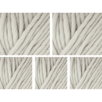 West Yorkshire Spinners Retreat Super Chunky Roving Yarn Value Pack 5x100g Wisdom 1123 500g