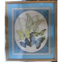 An Original Lithograph By Jean A. Mercier Of Butterflies With Blue Surround.