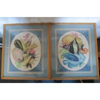 Pair Of Jean-adrien Mercier Fish And Shellfish Original Lithographs.