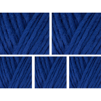 West Yorkshire Spinners Retreat Super Chunky Roving Yarn Value Pack 5x100g Prosper 1116 500g