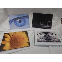 Artists Collection Of Work: "failin' A Bit Better" "the Missing Wink" "over My Head" And "sunflower"