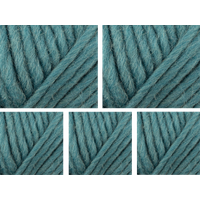 West Yorkshire Spinners Retreat Super Chunky Roving Yarn Value Pack 5x100g Nourish 1161 500g