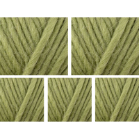 West Yorkshire Spinners Retreat Super Chunky Roving Yarn Value Pack 5x100g Nurture 1160 500g