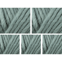 West Yorkshire Spinners Retreat Super Chunky Roving Yarn Value Pack 5x100g Rest 1158 500g